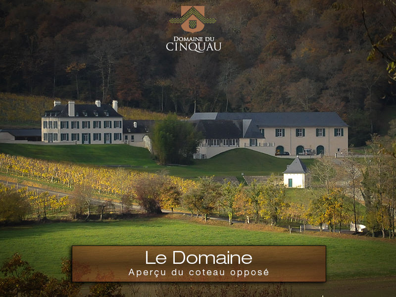 Domaine du Cinquau_64230 ARTIGUELOUVE